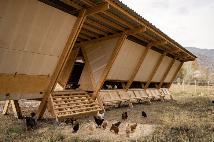 Desain Ruang Potong Ayam Sederhana Panduan Lengkap